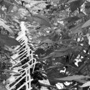 김기영농장 이미지