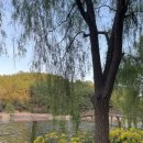 와우호수공원 이미지