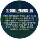 아무리 고민해도 답이없는 인생, 화려하지 않아도 정결하게 사는삶 이미지