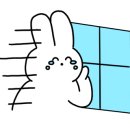 주현헤어 이미지