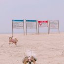 에버그린 펜션 이미지