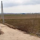 산이면사무소 이미지