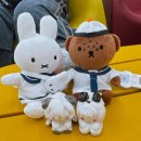 펫친구(48고4456) | 여름아 빨리 지나가