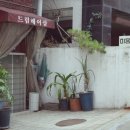 드림헤어샵 - 경주시 작원4길 7-5 | 드림헤어샵