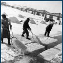 50년전의 얼음공장(한강) 이미지