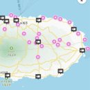 평해목장 | 제주 2박 3일🍊🏝️ | 김녕부터 함덕, 세화, 구좌읍, 성산, 조천읍까지