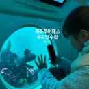 치일 | 제주도 우도잠수함 투어패스 시간 가격 자리 예약 탑승후기