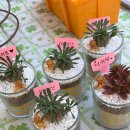 죽곡마을회관 및 경로당 | 치매예방과 정서안정 프로그램🌿 어르신 힐링 식물체험교실 (군산 익산 부여 출장교육)