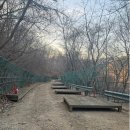 민주지산자연휴양림야영장 티스토리