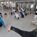 연세태권스쿨 이미지