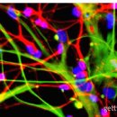 미래안경원 이미지