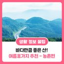 봉명고라데이영농조합법인 | [꿀 정보] 바다만큼 좋은 국내여행 여름휴가지 - 농촌 편