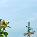 농업기술센터1층 화장실 이미지