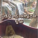 탑시가 | 나트랑 탑바 머드 온천 조용한 분위기 방문 솔직후기