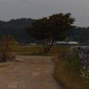 경기둘레길 화성48코스 이미지