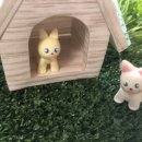 강아지정원 이미지