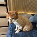 삼일목욕탕 이미지