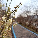 구암양돈 이미지