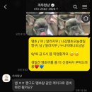 까까멍냥 이미지