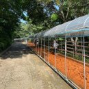 종로-종로-종로-종-107 | 서대문구 가볼만한곳 안산 황토길 가는 법 맨발걷기 산책로 서울애견놀이터