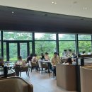 호텔맥 | [내돈내산] 경주 힐튼 호텔 조식 솔직 후기_전 메뉴 사진