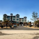 씨에코비치 이미지