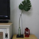 은하수세탁소 이미지