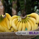 한재윤농장 이미지