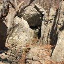 오서산자연휴양림 이미지