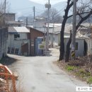 최미현농장 네이버블로그