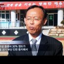 서상초등학교 이미지