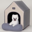 에브리데이 펫 이미지