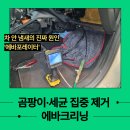 오토글로리 이미지