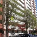 시흥대로47길 이미지