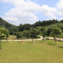 황학동캠핑장 이미지