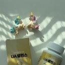 BMCO | UA밸런스 솔직후기 : 바쁜 일상, 내 몸을 위한 현명한 선택 (식약처 인정 원료로 데일리 건강 관리 시작!)