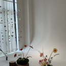 대구 / 대구 셀프스튜디오 추천 보정맛집 스튜디오 스믠 블루밍가든 셀프웨딩촬영 후기
