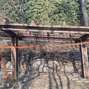 신사의원 이미지