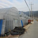 비파이야기