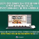 설묘지