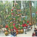 서울화원 이미지