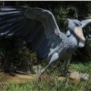 (주)아라마루 이미지