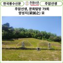 패오파오스타일 | [풍수238] 주암선생 문화탐방 79회...양성지(梁誠之) 묘