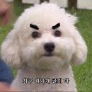 석