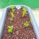 송암농장 이미지