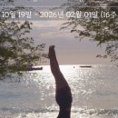 (24하반기)명상 요가 이미지