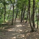 세븐일레븐 울산꽃바위점 이미지