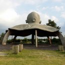 무안낙지 이미지