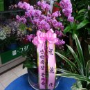 선학목장 이미지