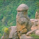 동산남성 이미지